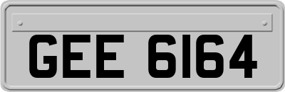 GEE6164