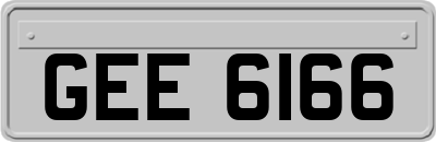 GEE6166