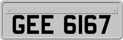 GEE6167