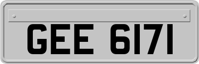 GEE6171