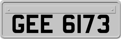 GEE6173