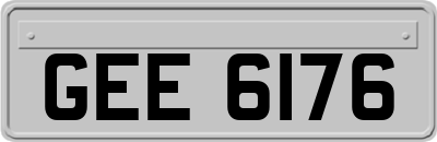 GEE6176