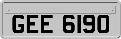 GEE6190