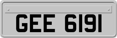 GEE6191