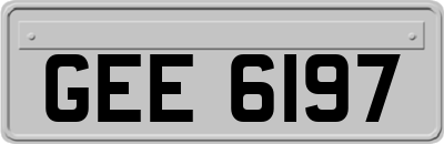 GEE6197