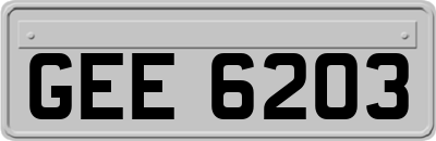 GEE6203