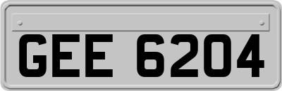 GEE6204