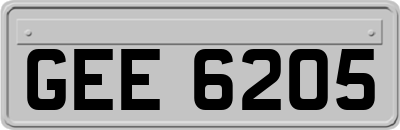 GEE6205
