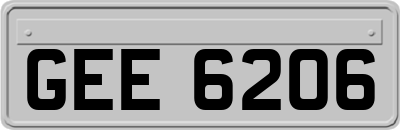 GEE6206