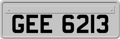 GEE6213
