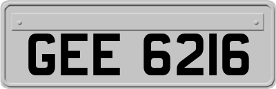 GEE6216