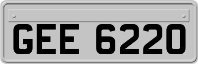 GEE6220