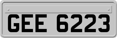 GEE6223