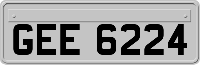 GEE6224