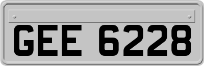 GEE6228