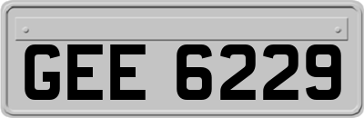 GEE6229