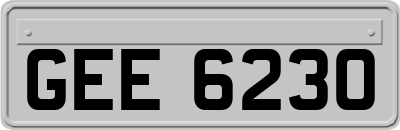 GEE6230