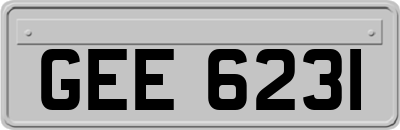 GEE6231