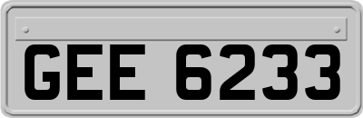 GEE6233