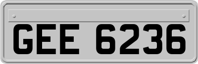 GEE6236