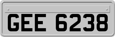 GEE6238