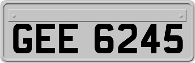 GEE6245