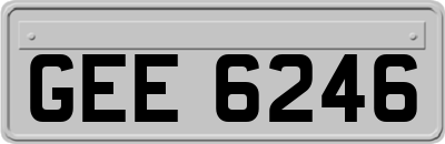 GEE6246