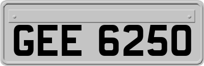 GEE6250