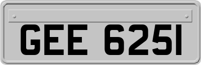 GEE6251