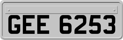 GEE6253