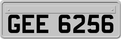 GEE6256
