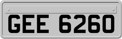 GEE6260