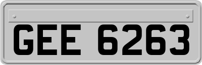 GEE6263
