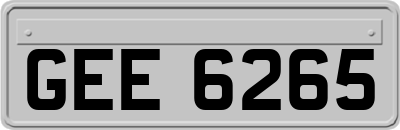GEE6265