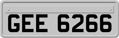 GEE6266