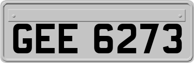 GEE6273