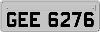 GEE6276