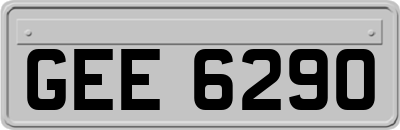 GEE6290