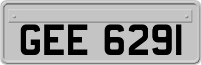 GEE6291