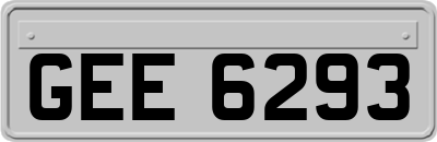 GEE6293