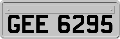 GEE6295