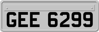 GEE6299