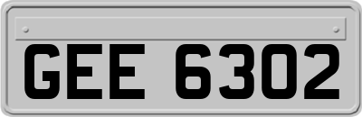 GEE6302