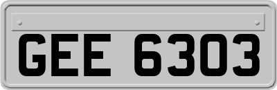 GEE6303