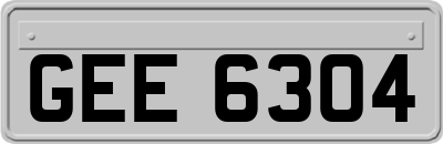 GEE6304