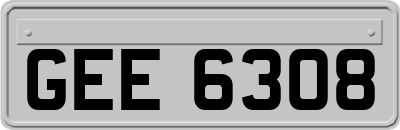 GEE6308