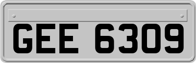 GEE6309