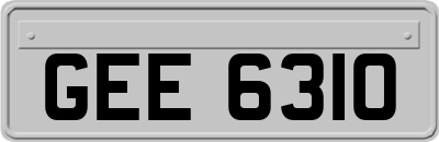 GEE6310