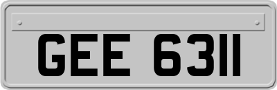 GEE6311