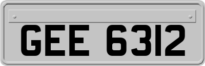 GEE6312